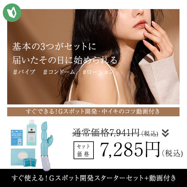 開発スターターセット