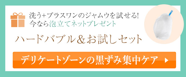 プレゼント付き