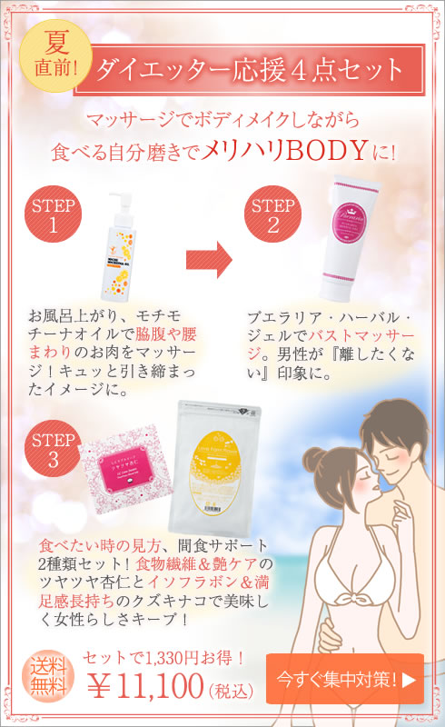 ダイエッター応援セット