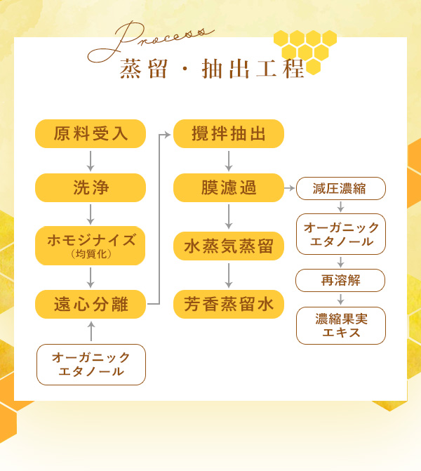 LCラボ　ハチミツノビヨウエキ　蒸留・抽出工程