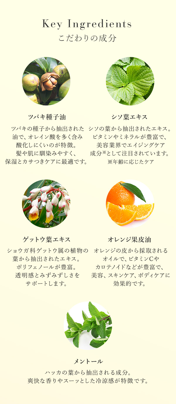 本草絵巻　しろつやびじん　薩摩みかん　ぼでぃくりーむ　こだわりの成分