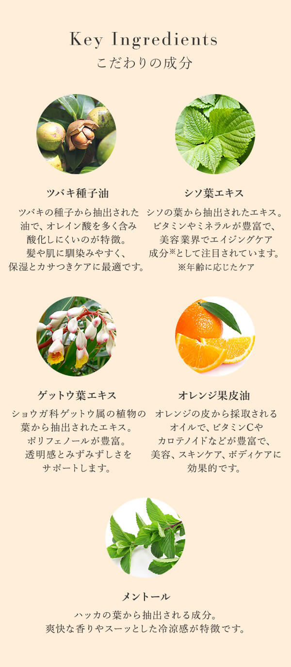 本草絵巻　しろつやびじん　薩摩みかん　ぼでぃくりーむ　こだわりの成分