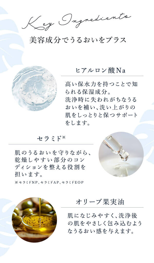 ＬＣ’Ｓジャムウ・ＦＯＭＩ　デリケートウォッシュ こんないいこと