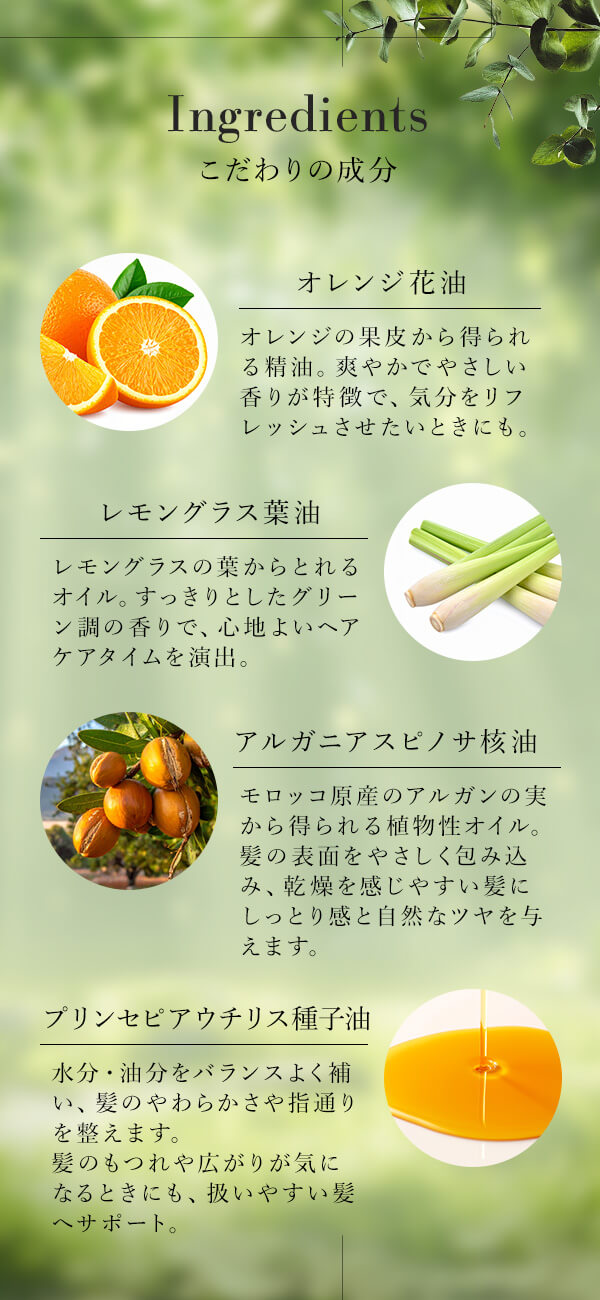 自然派ヘアオイル 森のしずくの商品画像 8