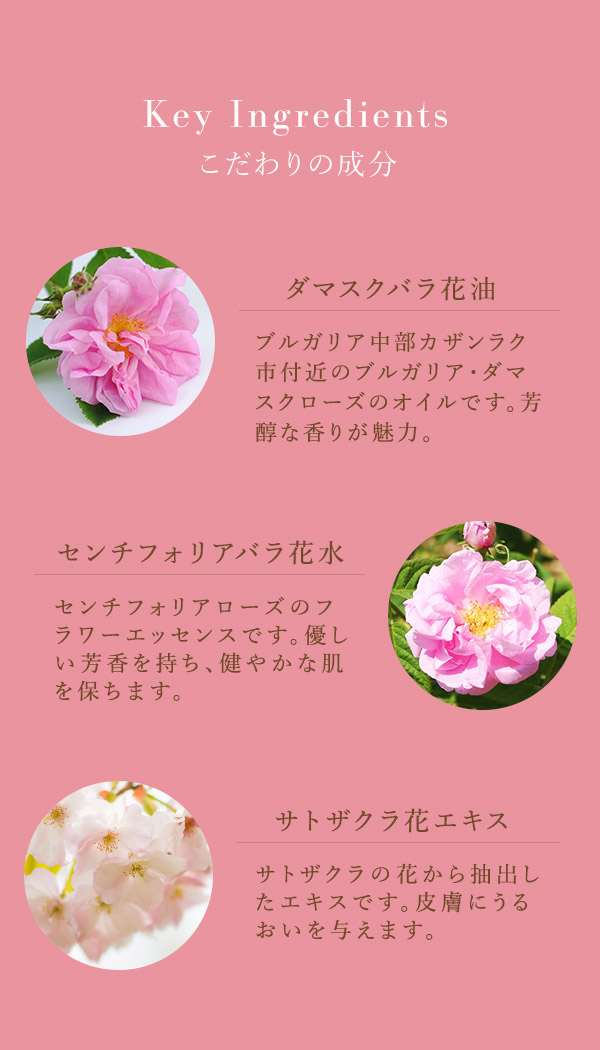 コイノサクランボ　豆知識