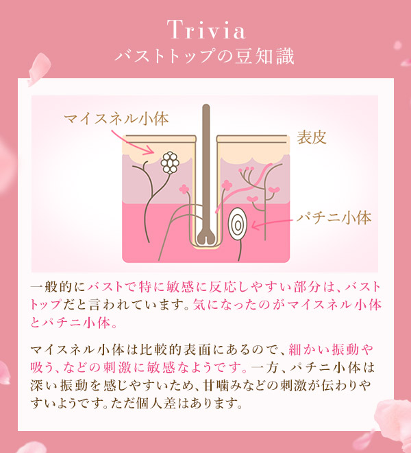 コイノサクランボ　バストトップの豆知識