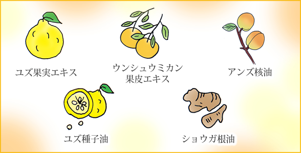 成分イラスト