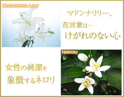 花言葉