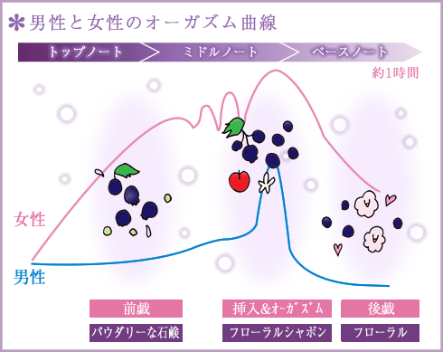 男性と女性のオーガズム曲線