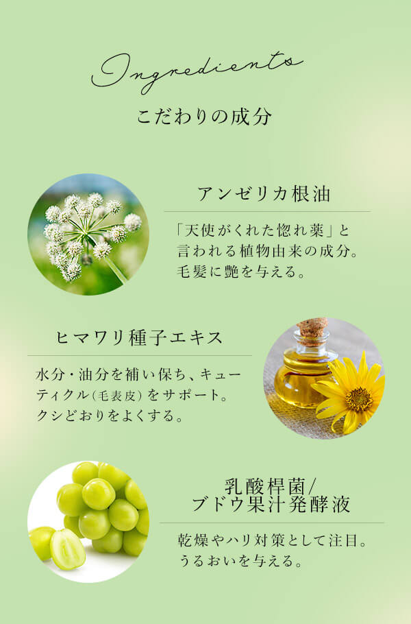 【NEW】ナデテ　ディープマスカット　成分＆使い方