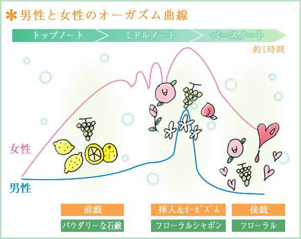 男性と女性のオーガズム曲線