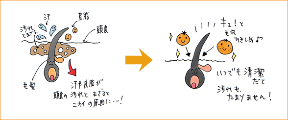 LCジャムウ・スカルプクレンザー ダブルウォッシュ アロマティックオレンジ 毛穴イラスト