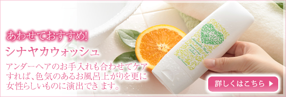 あわせておすすめ