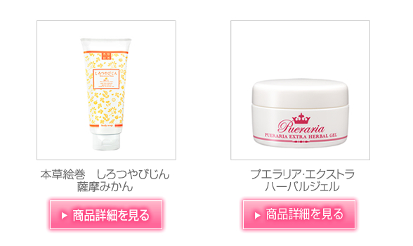 関根のおすすめ商品