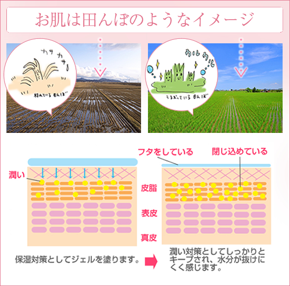 田んぼ作戦の詳細