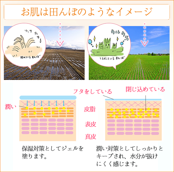 プエラリア・ハーバルジェル 1Lポンプ アロマティックオレンジ 田んぼ作戦の詳細