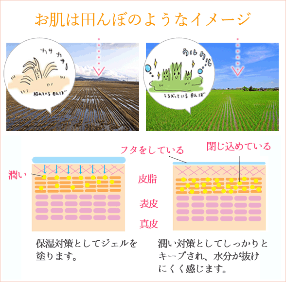 プエラリア・ハーバルジェル モイストクリア1Lポンプ ユズ2019 田んぼ作戦の詳細