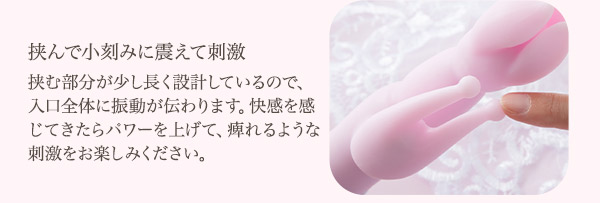 ピンクブルームＧ