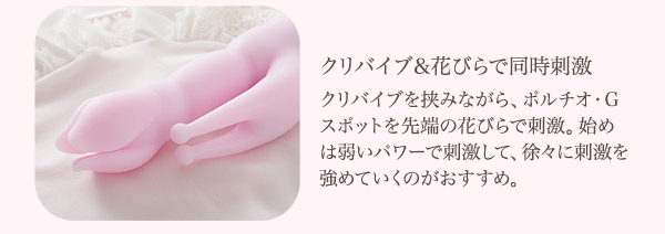 ピンクブルームＧ