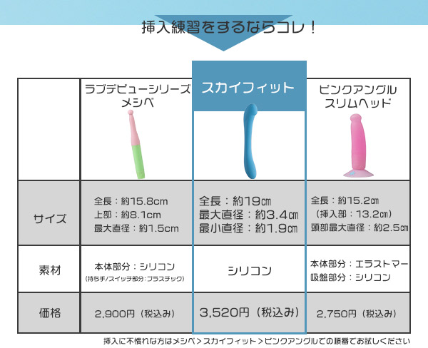 スカイフィット