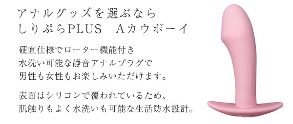 しりぷらPLUS　Aカウボーイ