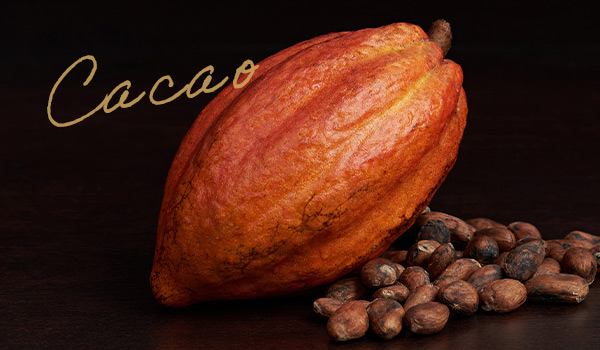 エクスタシーボール