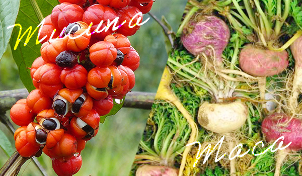 エクスタシーボール