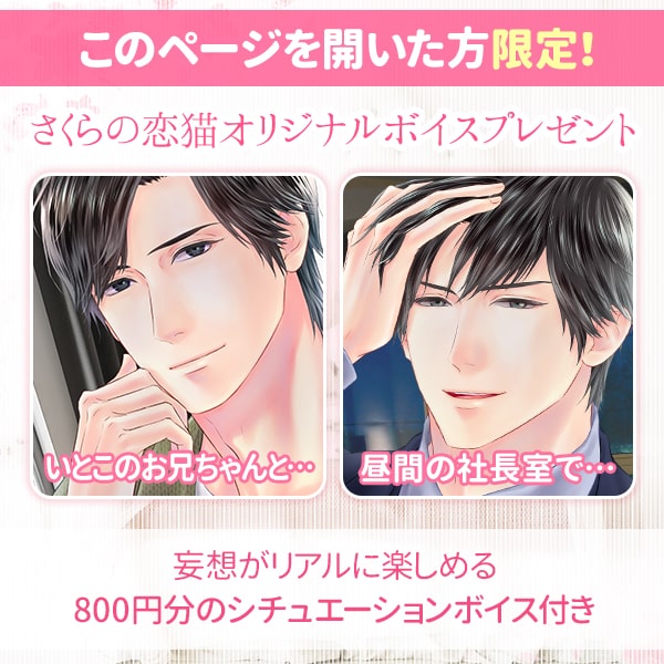 コンテンツセットFV画像