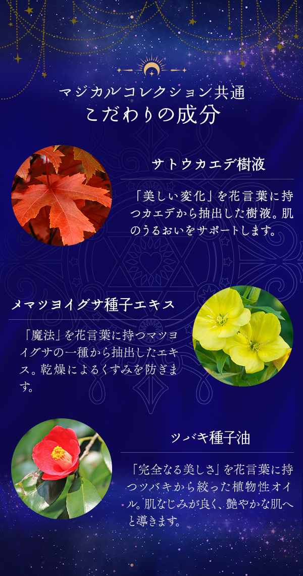 ダズリン・ブルーベリータルト　フルセット