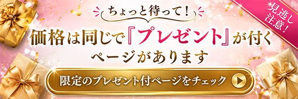 価格は同じでプレゼント付ページへ