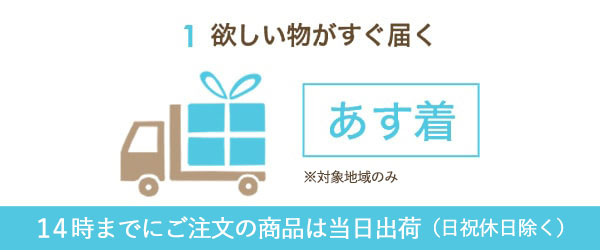 欲しい物がすぐ届く 14時までにご注文の商品は当日出荷